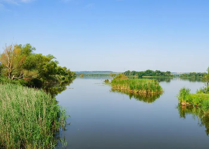 דירה With Bbq In Keszthely-balaton 54366 קסזטלי